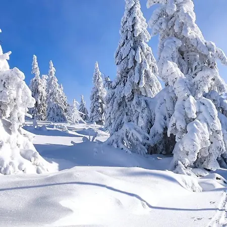 Lägenhet Panorama Z Widokiem Na Gory